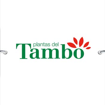 Plantas del Tambo