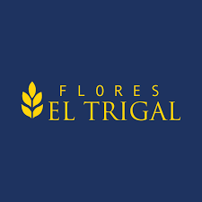 Flores el trigal